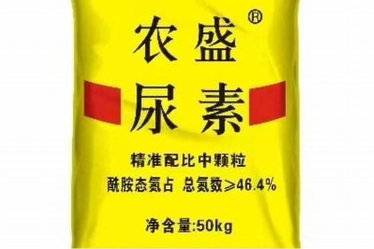 马蹄种植六大注意事项介绍!