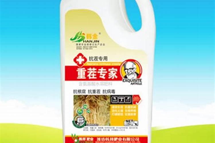 草莓施什么肥料果大