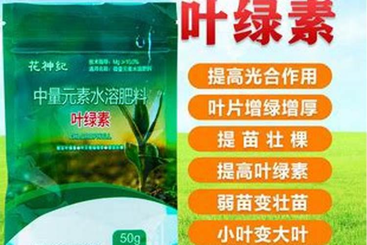 芝麻价格最新市场行情怎么样？