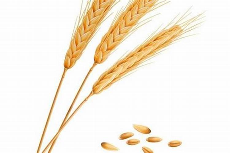 病毒药可以和杀菌剂混用吗