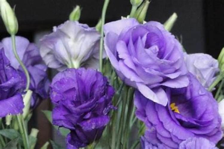 淘宝上有哪些买花对版的好店？