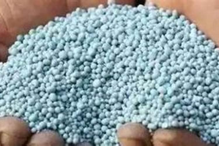 复合肥可以做叶面肥给花喷施吗