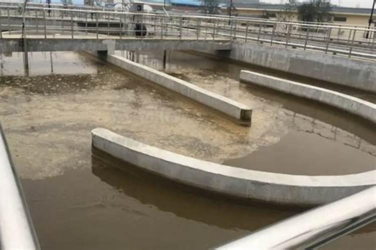 污水氨氮高了怎么处理