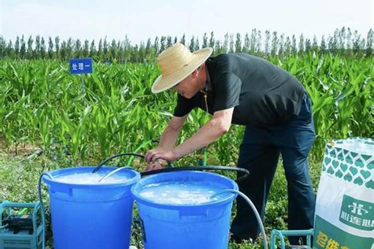 桃树膨大期专用增产叶面肥料？桃树结果期用哪种水溶肥效果好？