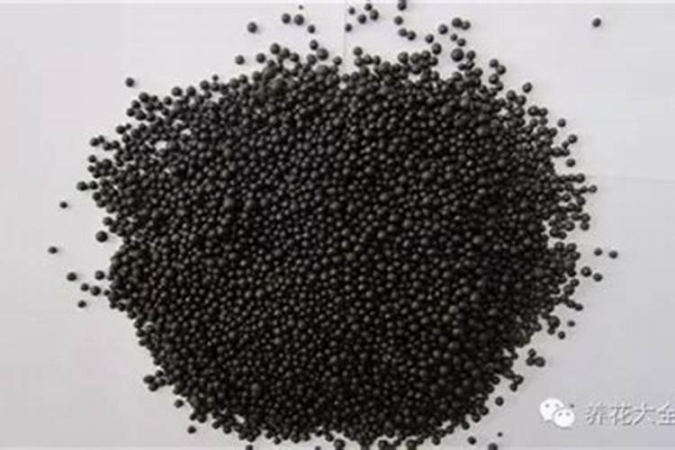 玫瑰花施什么肥料最好