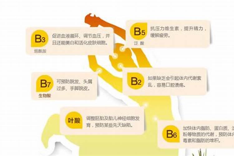 如何让黑松又矮又粗黑松枝干如何变粗