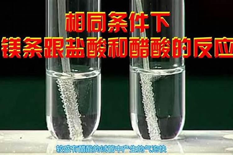 为什么镁、锌、铁和盐酸不反应？