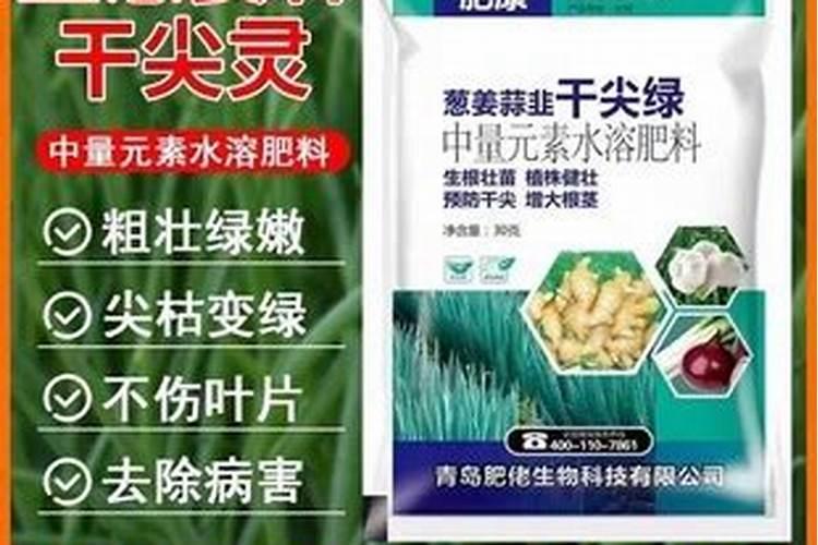 白芍怎么养才能更旺盛 白芍如何养才能更旺盛