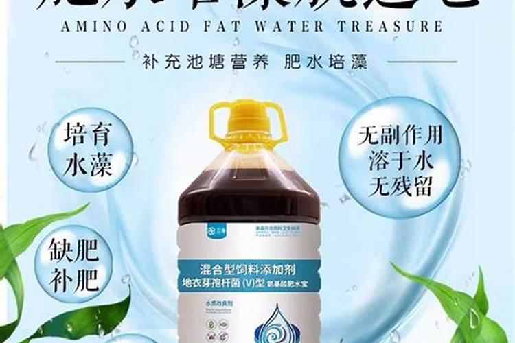 栀子叶子需要喷水吗(栀子花叶子需要喷水吗)