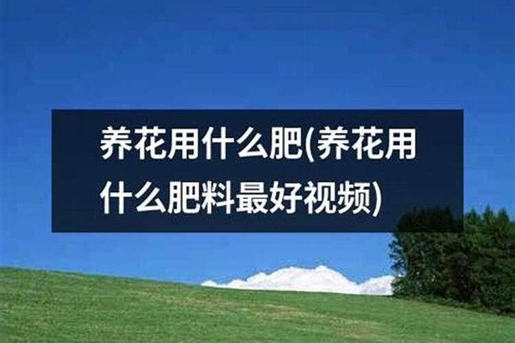 什么肥料养花比较好 养花用什么肥料
