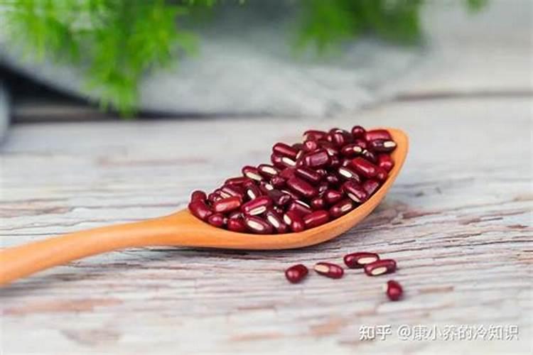 赤小豆为什么不开花