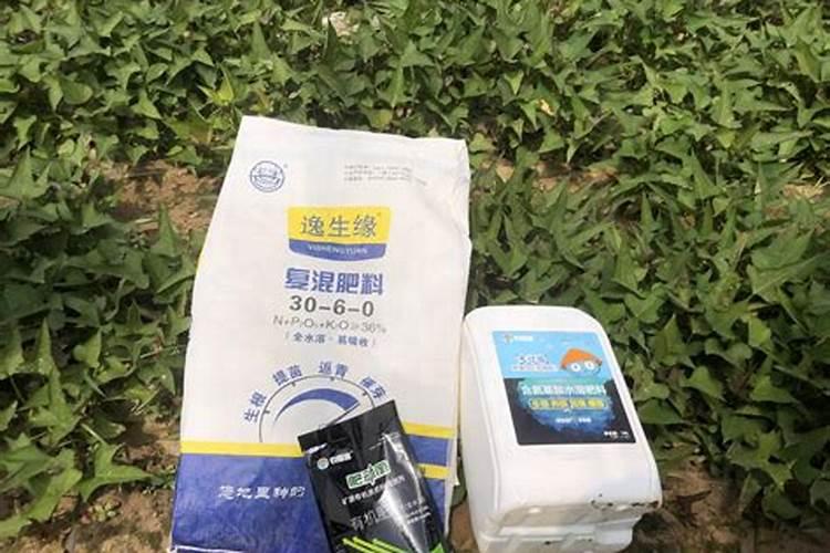 辛腐酸增效济多少钱一吨