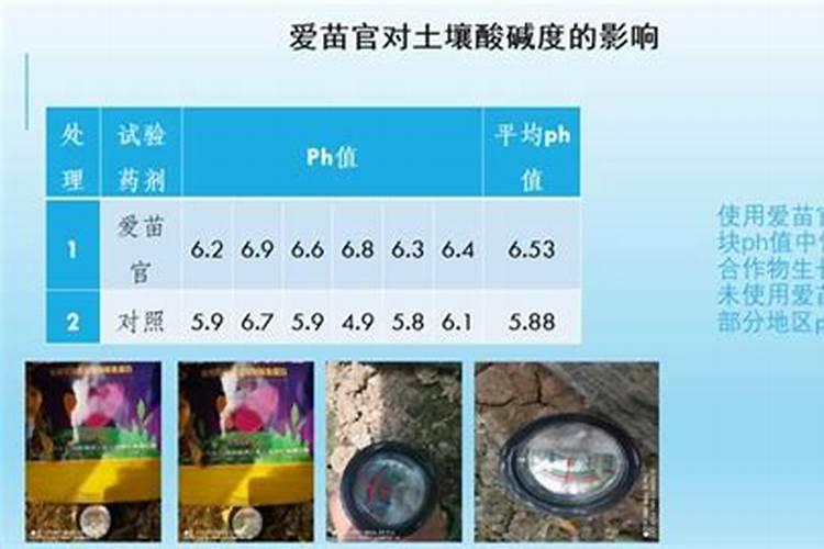 果树催芽什么药最好