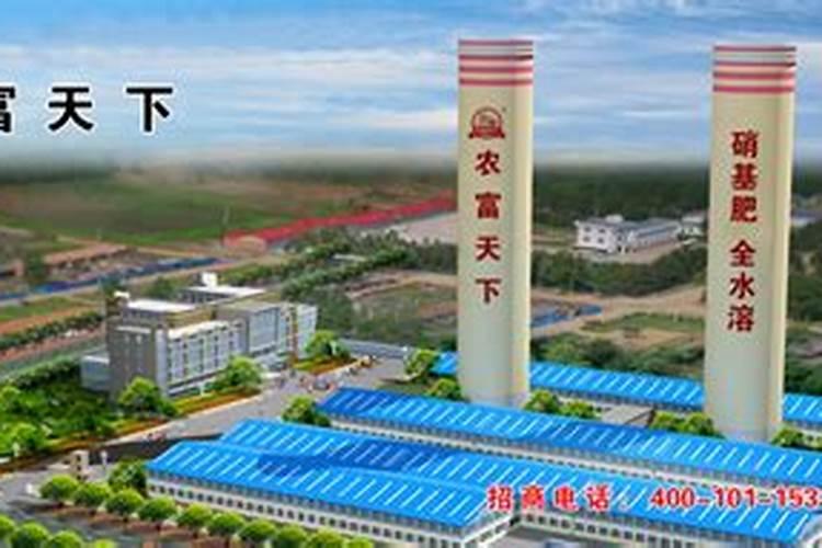 石榴喜欢什么肥料最好