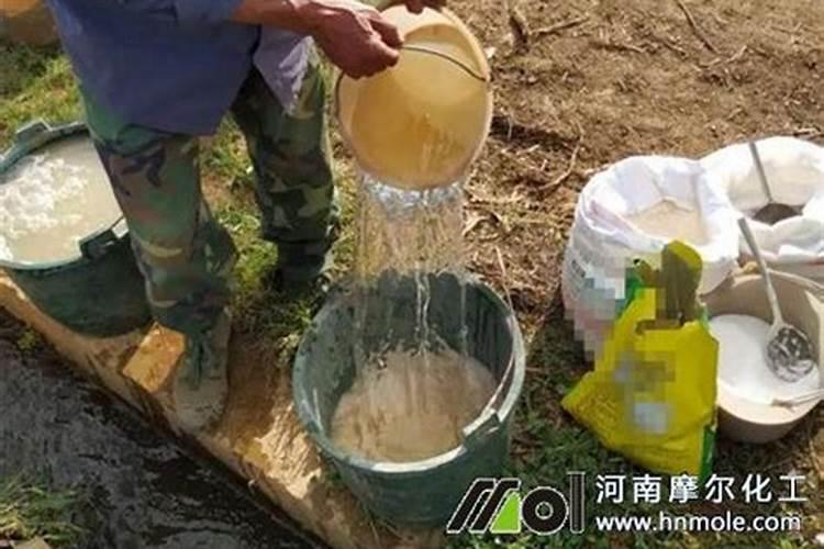 芸豆这是什么原因造成的