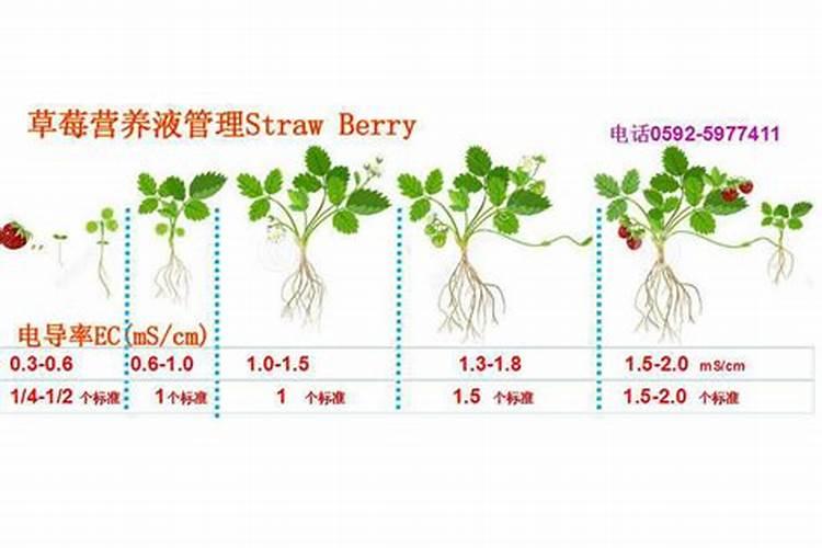 农产品指的是什么