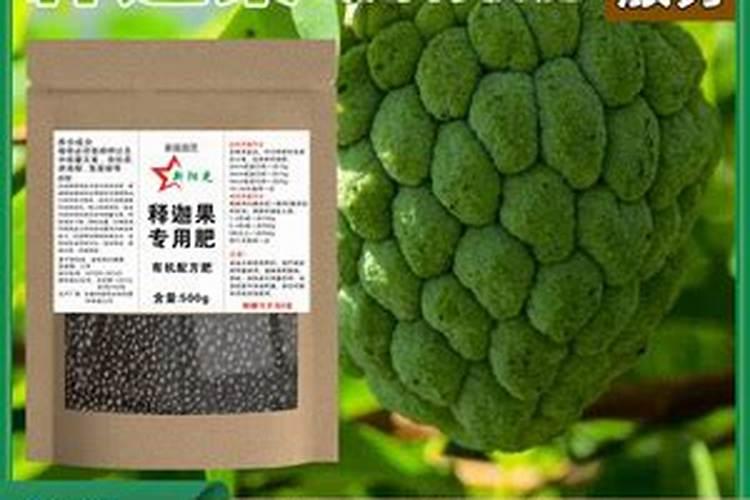 种释迦果施什么肥