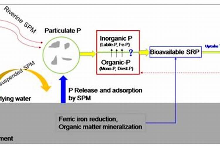 生物酶活化磷肥怎么样？好用么？确实能提高产量吗？