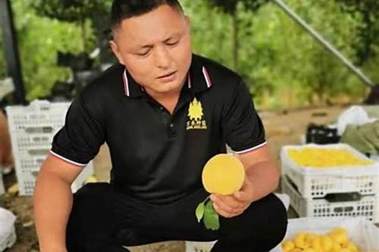 大樱桃缺镁有何症状？怎样防治？