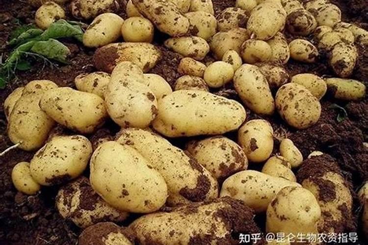 铵态氮肥是酸肥吗？