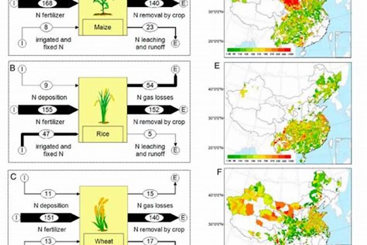 哪些花可以浇白糖水