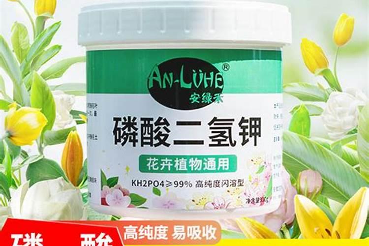 茉莉花可以用磷酸二氢钾吗