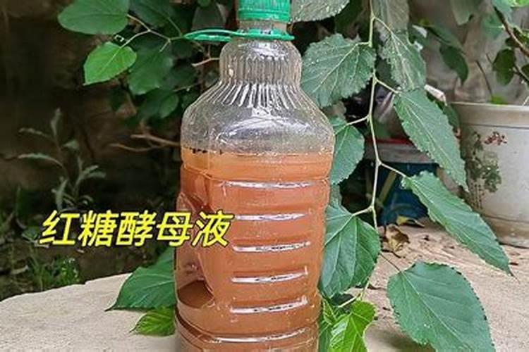 玉米喷灌与滴灌哪个好