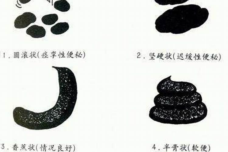 侧所里的大粪,魔芋施肥,大粪和水的比内是多少,这样魔芋施肥这样可以吗...