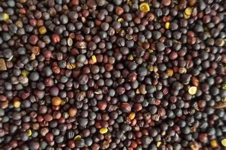 磷肥,尿素,复合肥对蔬菜的成长有什么好处。