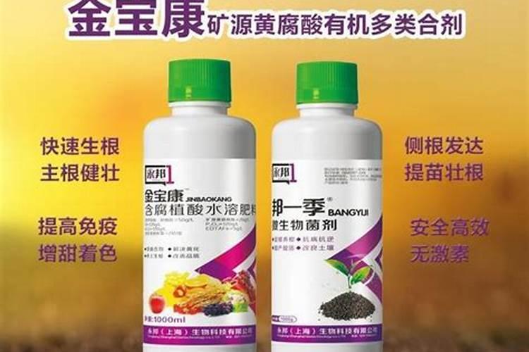 蟠桃树耐寒多少度