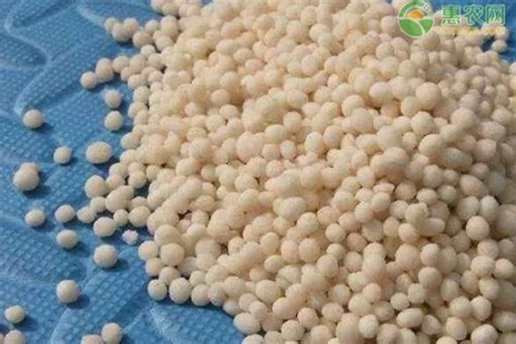 在阳台种菜最好的是用什么肥料