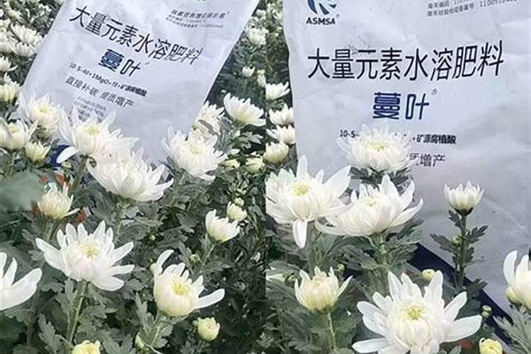 总磷、有机磷与无机磷:水体中的磷家族成员大揭秘