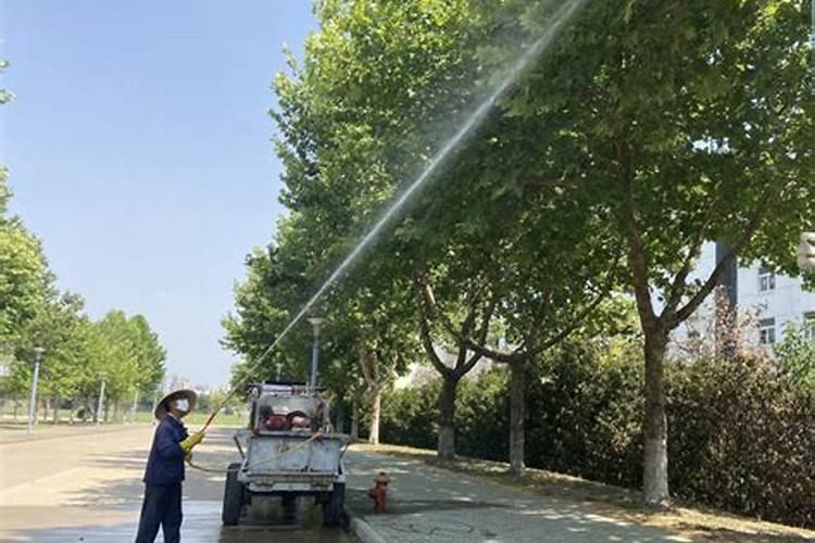 移栽树木如何施肥