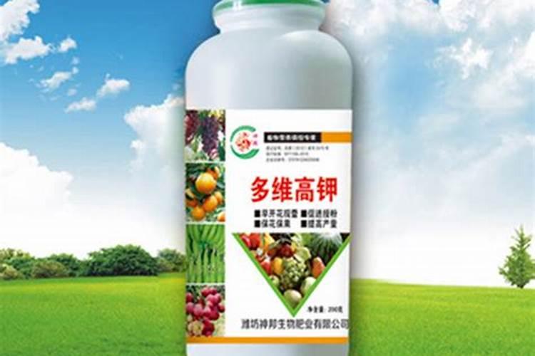 萝卜种植:白萝卜怎么样施肥好