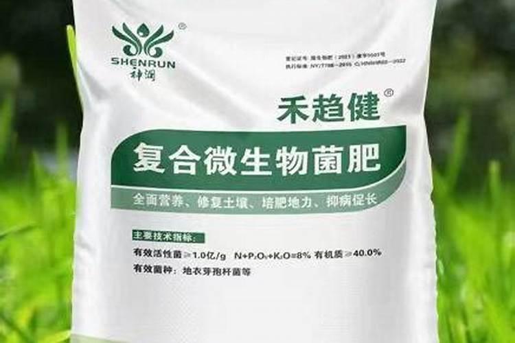 柚子树施什么肥较好