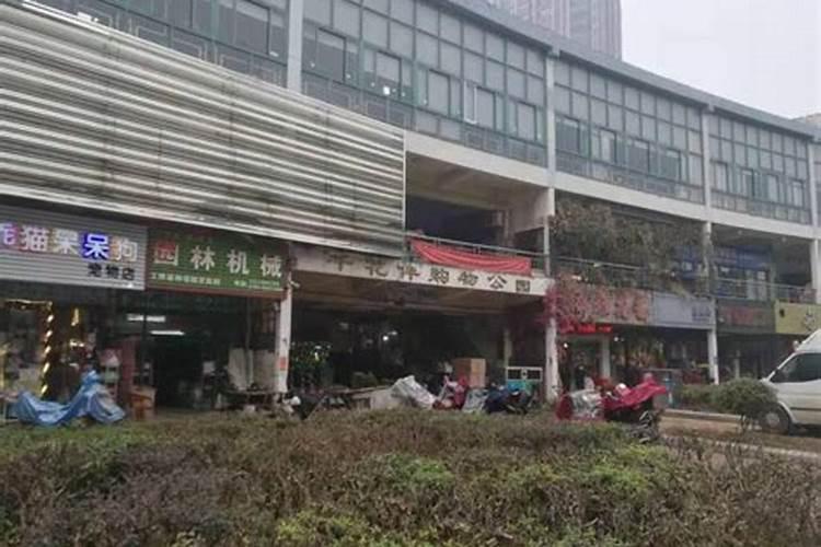 买花肥到哪里、买花送的肥料怎么用