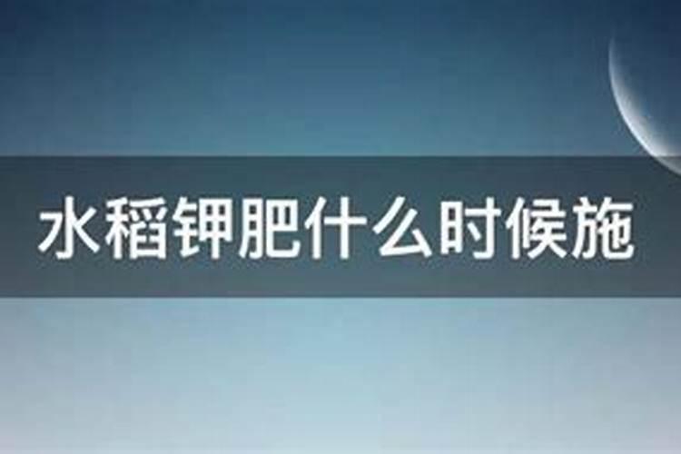 玉米叶面肥什么时间打最合适