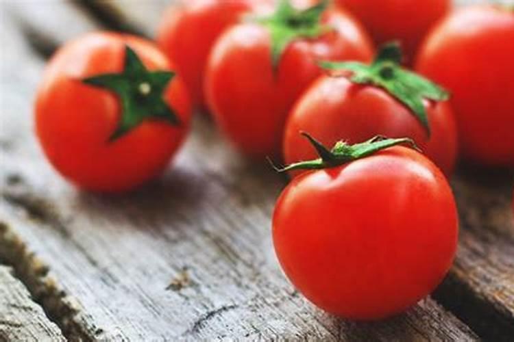 大番茄什么时期补充钙肥合适