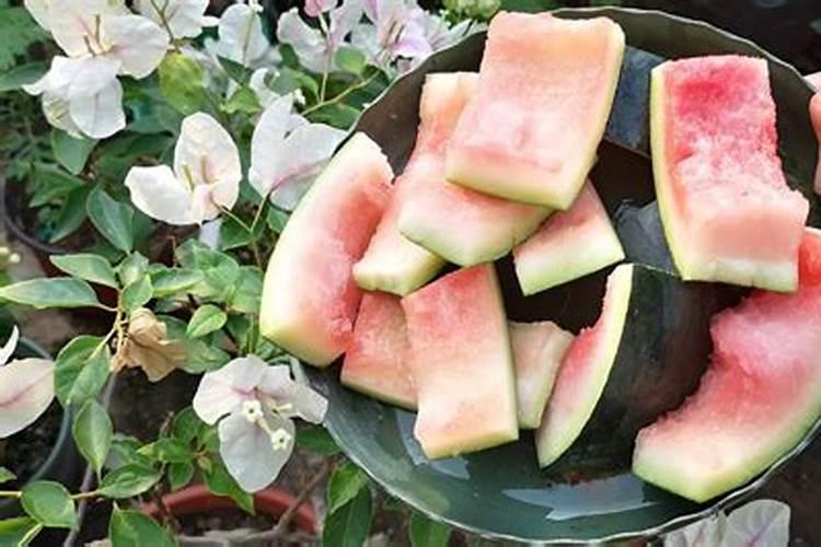 玉米苗小的时候需要什么肥料