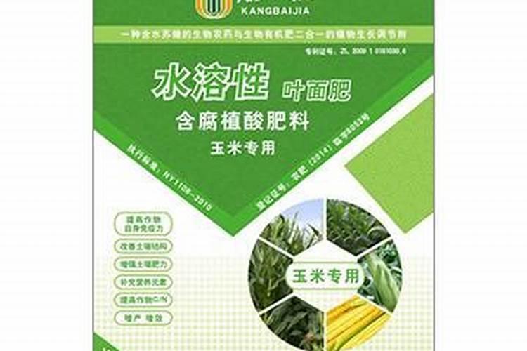 龙眼花期怎么管理