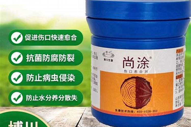 金弹子开花结果用刘体硼好不好？