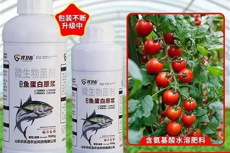 想要果实快速膨大用什么水溶肥好