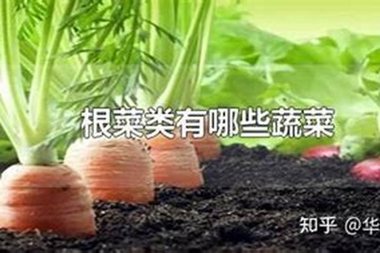 磷肥适合哪些蔬菜