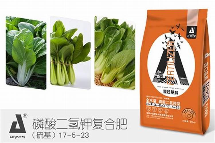 油菜什么时候施肥最合适