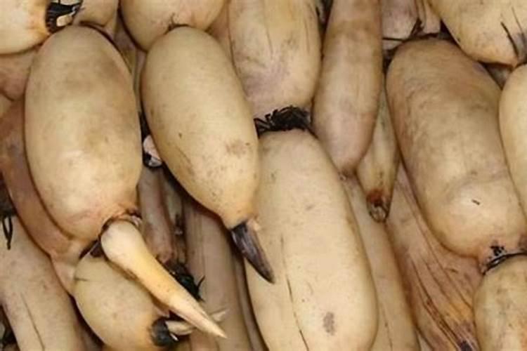 莲藕最忌三种肥料