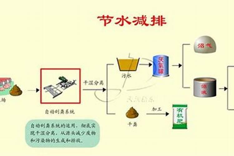 养牛的话,牛粪一般怎么处理？