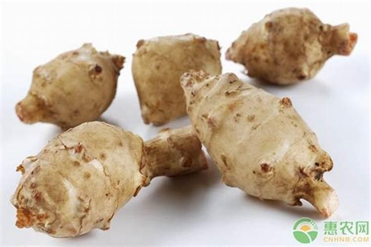 库尔勒申请成立农业公司需要哪些资料