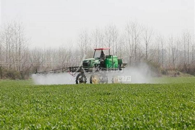 盐湖股份(盐湖股份重大新闻)
