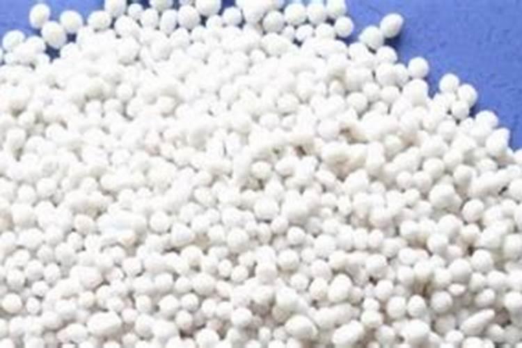 新栽的果树多久可以施肥