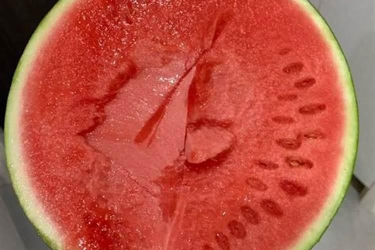 蝴蝶兰开花时能施肥吗